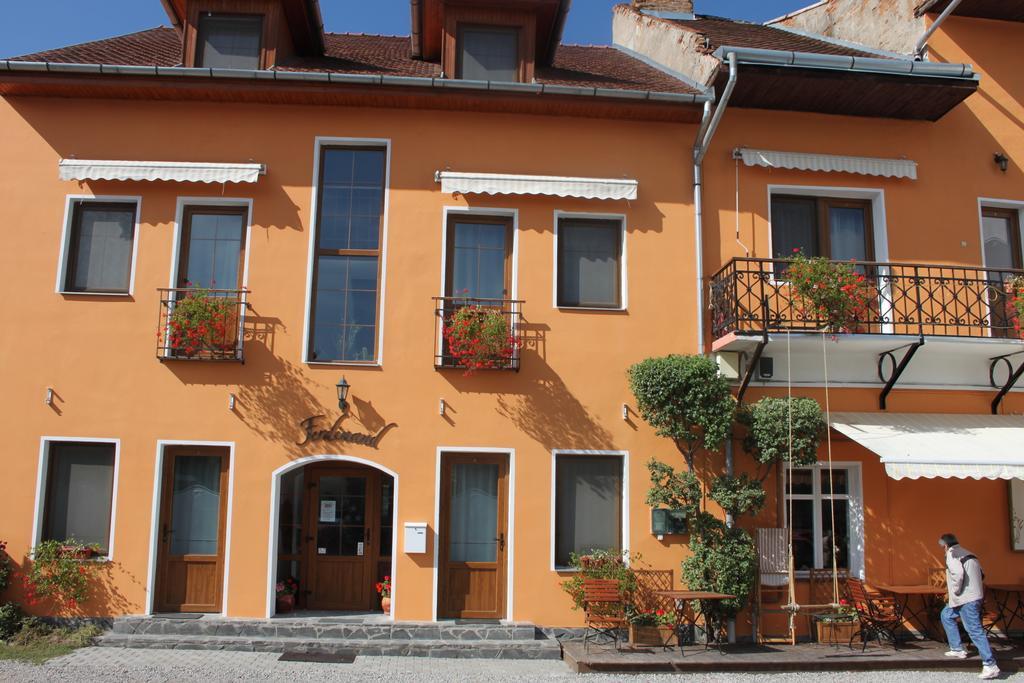 Pension Ferdinand Panzio Sfântu-Gheorghe Exterior foto